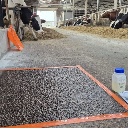 WFP Floor Coating 1K wfp-hydroizolacje.pl Silna marka w budownictwie